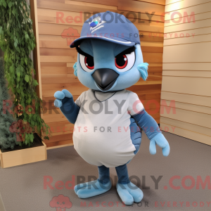 Grey Blue Jay...