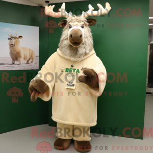 Kremowy łoś irlandzki...