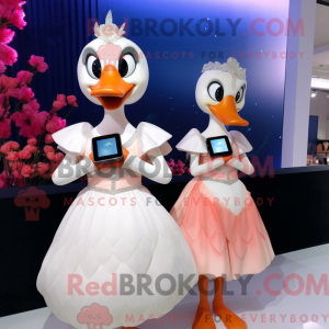 Peach Swans...