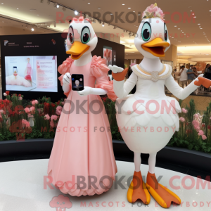 Peach Swans...