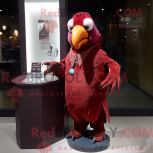 Maroon papegøje maskot...