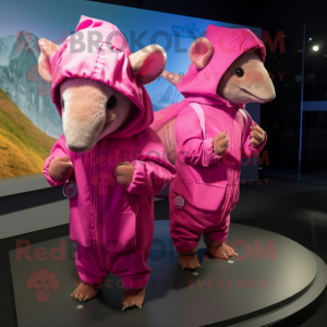 Pink Armadillo mascotte...