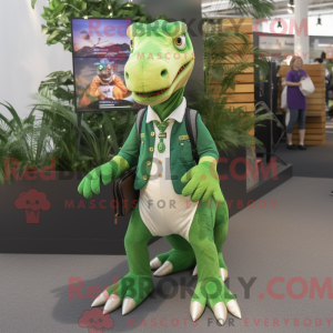 Costume mascotte de...