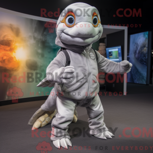 Silver Turtle mascot...