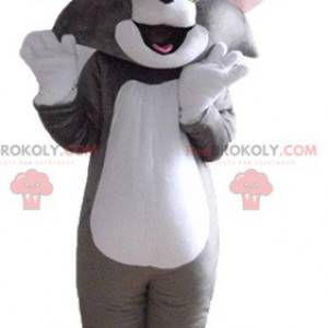 Mascot Tom, el famoso gato gris y blanco de Looney Tunes -