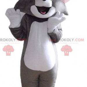 Mascot Tom the famous gray and white cat of Looney Tunes -