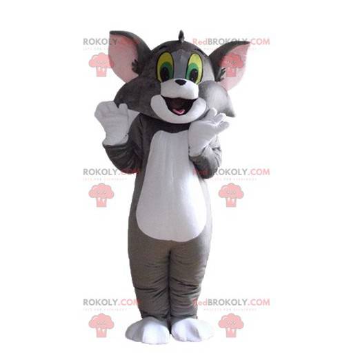Mascote Tom, o famoso gato cinza e branco do Looney Tunes -