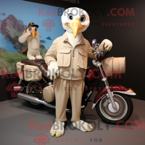 Beige Albatros...