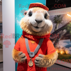 Máscara de marmota com...