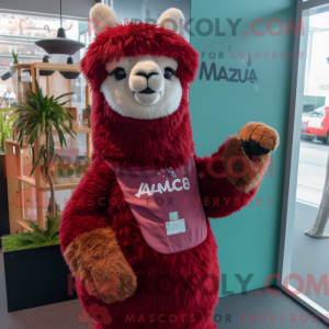 Maroon Alpaca...