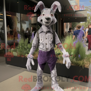 Lavendel Känguru...