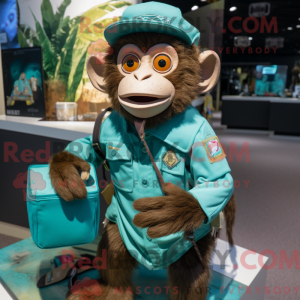 Bluzka Capuchin Monkey...