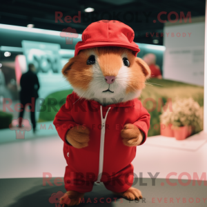 Rød marsvin maskot kostume...