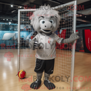 Sølv volleyballnett...