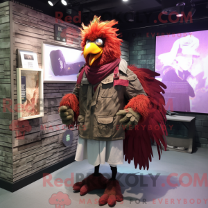 Maskotka Maroon Rooster to...