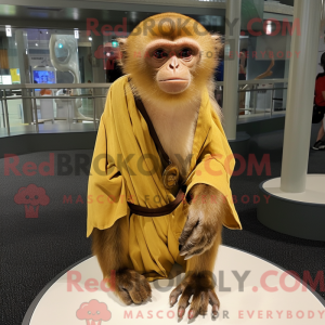 Gull Capuchin Monkey...