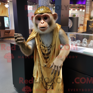 Gold Capuchin Monkey mascot...