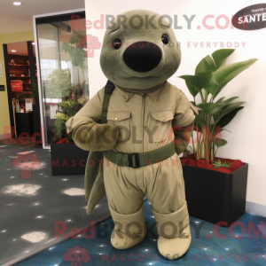 Olive Stellar S Sea Cow...