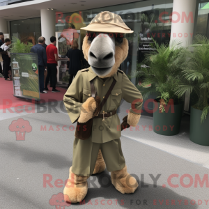 Olive Camel maskot kostyme...