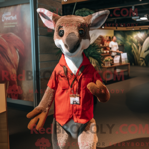 Red Kangaroo mascot costume...