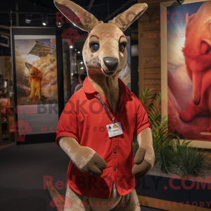 Rød kænguru maskot kostume...