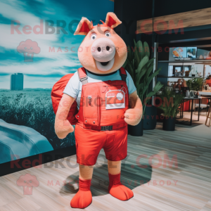 Red Pig mascot costume character dressed with a Board Shorts and Suspenders