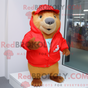 Costume mascotte de...