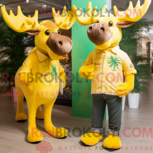 Yellow Irish Elk mascot...