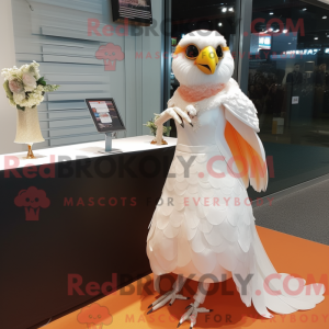 Peach Falcon...