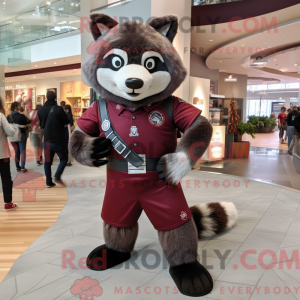 Maroon Raccoon...