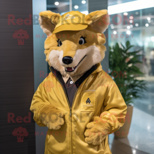 Gold Dingo mascot costume character dressed with a Jacket and Caps
