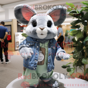 Oliven Chinchilla maskot...