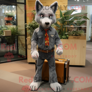 Grå Dingo maskot kostume...