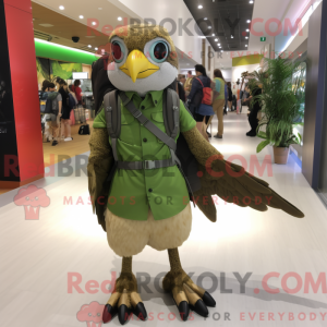 Olive Falcon...