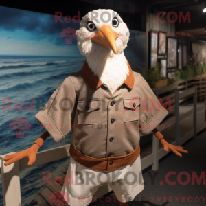Brown Seagull...