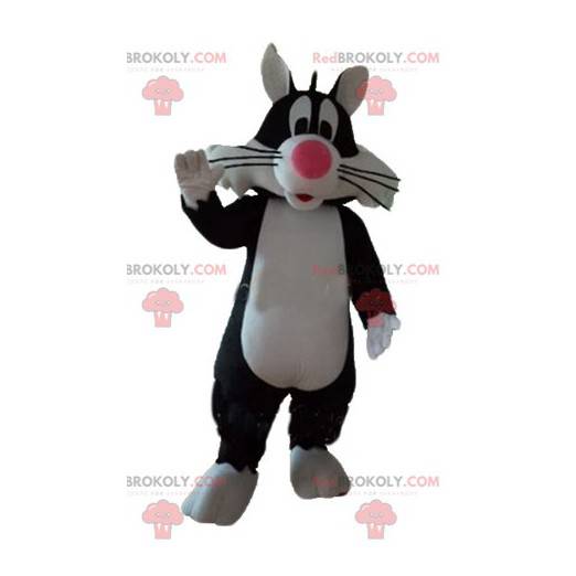 Grosminet famosa mascotte del gatto nero dei cartoni animati -