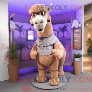 Lavendel Camel maskot drakt...
