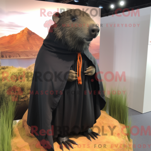 Sort Capybara maskot...