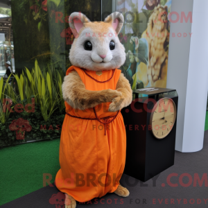 Mascotte de Chinchilla...