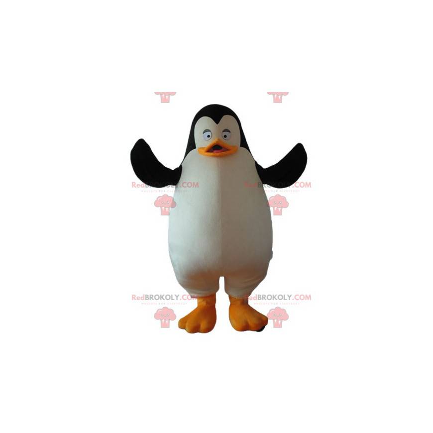 Mascota de pingüino de los dibujos animados pingüinos de