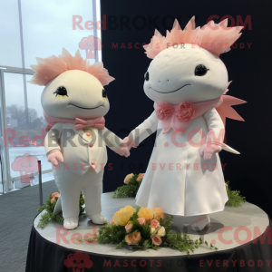 Peach Axolotls...