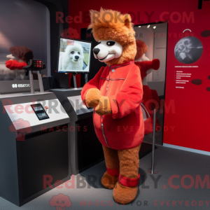 Costume mascotte d alpaga...