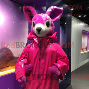 Magenta kenguru maskot...