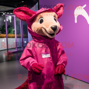 Magenta kenguru maskot...