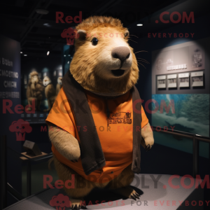 Costume de mascotte...