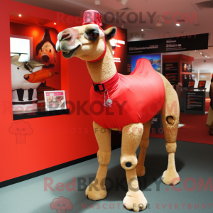Disfraz de mascota Camel...