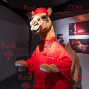 Máscara Red Camel com...