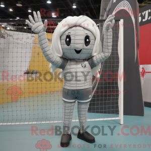 Silver Volleyball Net...