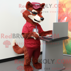 Maroon Dingo...