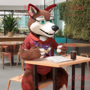 Maroon Dingo...